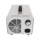 TY-STL-5G 220v 5g PM2.5 Air Cleaner Ozone Generator Air Cooling